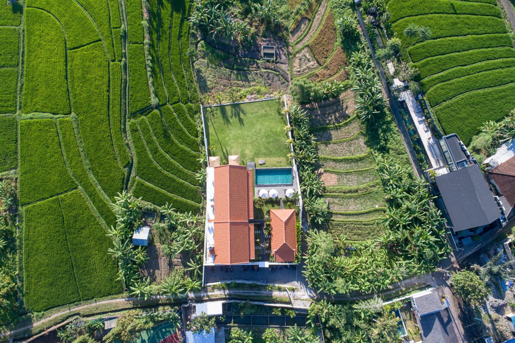 Eden Guest House Canggu Экстерьер фото